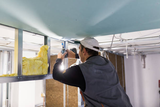 Best Insulation Maintenance and Repair in Winter Park, FL