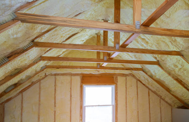 Best Residential Insulation in Winter Park, FL