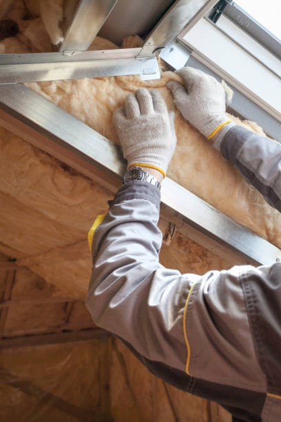 Best Insulation Installation Services in Winter Park, FL